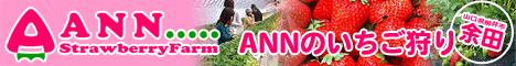 ＡＮＮリンクバナー