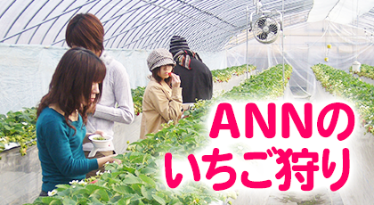 ANNのいちご狩り